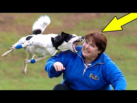 14 LUSTIGE FOTOS - die man GESEHEN haben MUSS !