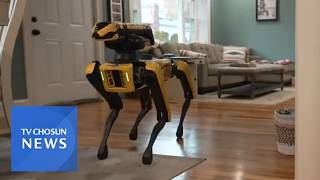AI 두뇌 달았더니…개 산책시키는 '로봇개' 등장 [뉴스퍼레이드]