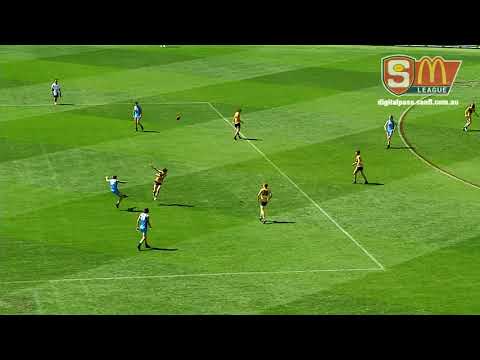 2017 Torrens Uni Cup GF Highlights - Eagles v Sturt