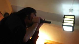 Despised Icon - &quot;Fainted Blue Ornaments&quot; Vocal cover.