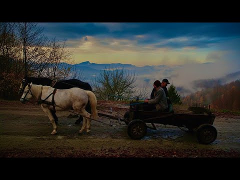 Far Beyond Civilization: How They Survive in Total Isolation