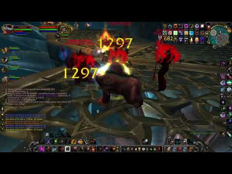 WOTLK 3.3.5 Feral Tank in Heroic Dungeons Episode 8 - Forge of Souls
