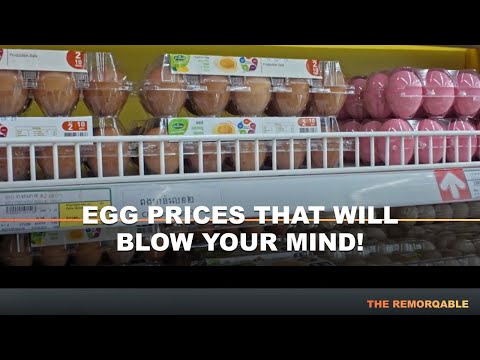 Shocking Egg Prices in Cambodia's Makro Store