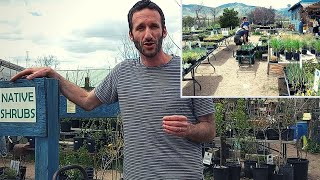 A PERMACULTURE Nursery In Colorado [Yay!]