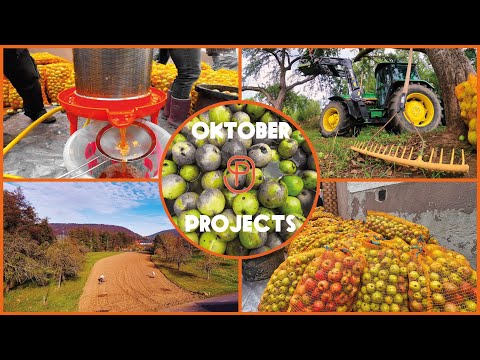 Das erwartet euch im OKTOBER //PROJECTFLUENCER Apfel Monat Teaser