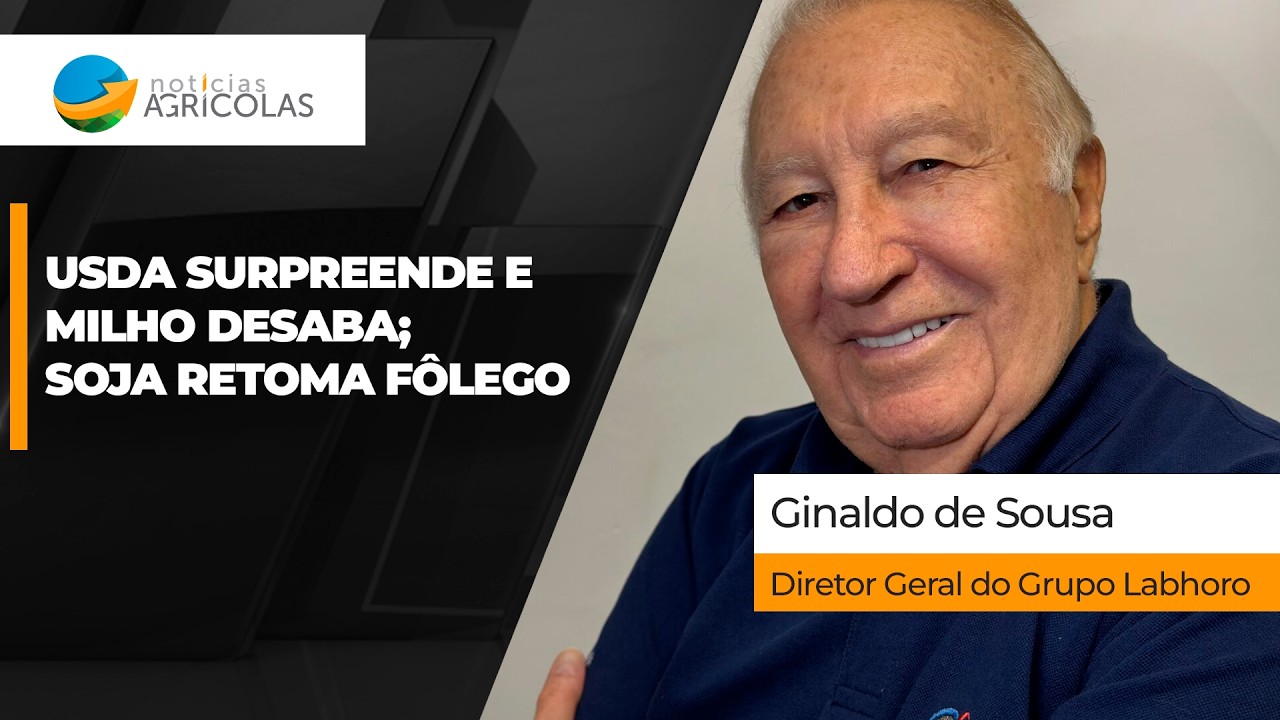 Apesar de pressão agressiva do USDA, soja retoma fôlego e fecha em alta na Bolsa de Chicago nesta 6ª