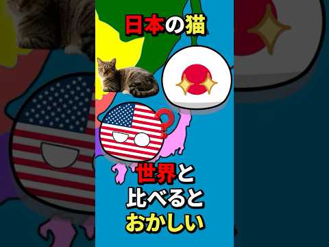 日本の猫、世界と比べるとおかしい