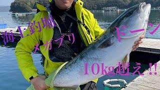 「傳八屋」10㎏超えのメガブリ‼︎2021.02.21