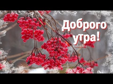 Доброго утра! Хорошего дня!