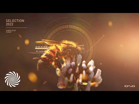 Stayos - Mind Run Wild