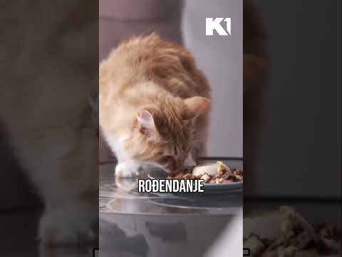 Ovo je bizarno! | MOJ SAVRŠENI BRAK #shorts