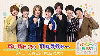 パパジャニwest 字 元シェフ 本出版 市場勤務 料理自慢芸人パパno 1決定戦 Tbsテレビ パパジャニwest 字 元シェフ 本出版 市場勤務 料理自慢芸人パパno 1決定戦 Tbsテレビ