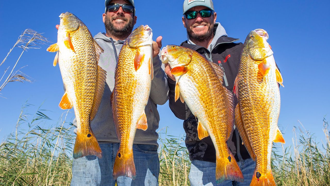 Redfish Jubilee 2026: When It Happens & Where To Go