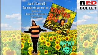 Zoemetje (Ik ben een Bij) - Gunther D ft Omdat Het Kan Soundsystem &amp; Lucien Remix