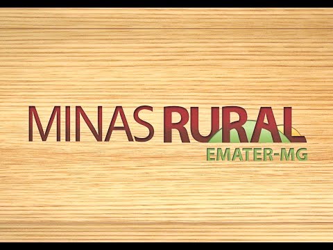 MINAS RURAL    1029   -  16/07/2016
