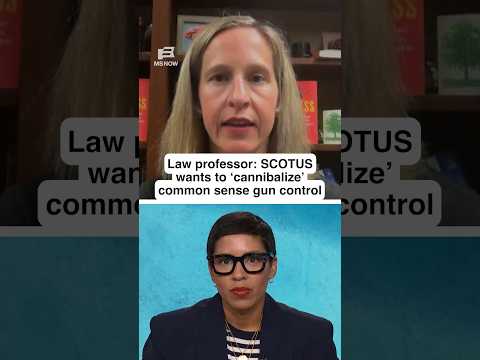 SCOTUS wants to 'cannibalize' common sense gun control: law professor