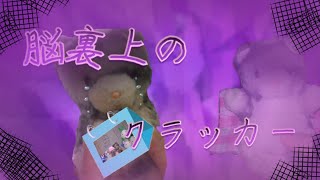 【ぬいぐるみpv】脳裏上のクラッカー