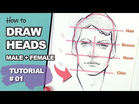 這真的有效！使用盧米斯方法繪製頭部（教程 #1） (THIS REALLY WORKS! Drawing Heads with the Loomis Method (Tutorial #1))