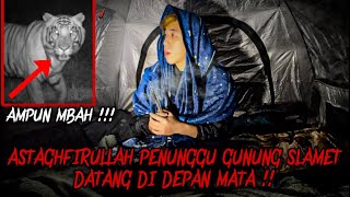 Download lagu THE SUPERHEROUS GUARDIAN OF MOUNT SLAMET COMES!?? SOLO CAMPING HORROR ON MOUNT SLAMET ENDS IN DIS... mp3
