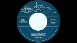 THE SOLUTION   Hijackin' love (Live)