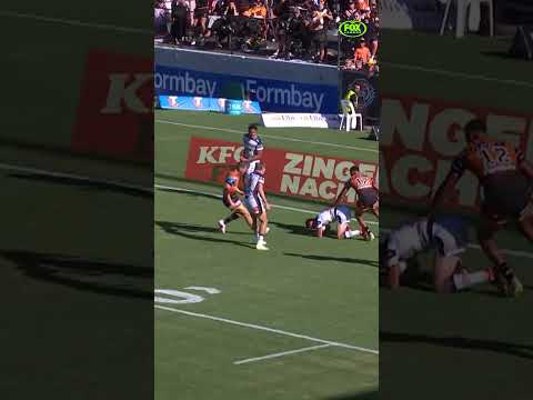 Payten walks out of the box!!! 😬