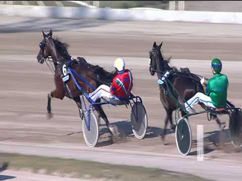 Trotto 22/09/2018 - 4ª corsa