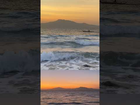 so much life in one little world 🌅🌊