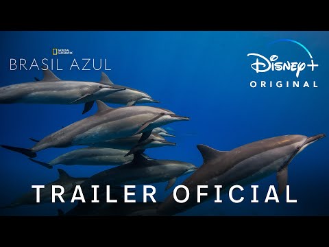 Trailer de Brasil Azul (2022)