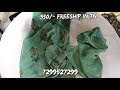 Joint Pencil Crepe Sarees 350 Freeship In TN