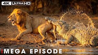 Run or Die (MEGA EPISODE) | Savage Kingdom | Nature Animal Documentary