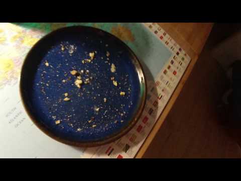 MongoTV_4390 - Min Natmad - Del 2 - Ristet Franskbrød Med Smør og Ost