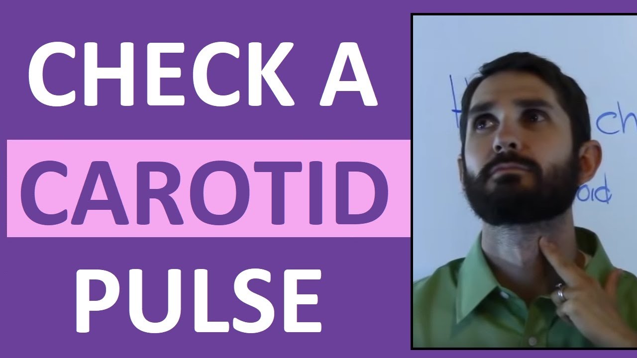 How to Find, Count, and Check a Carotid Pulse Rate | Nursing Clinical Skills