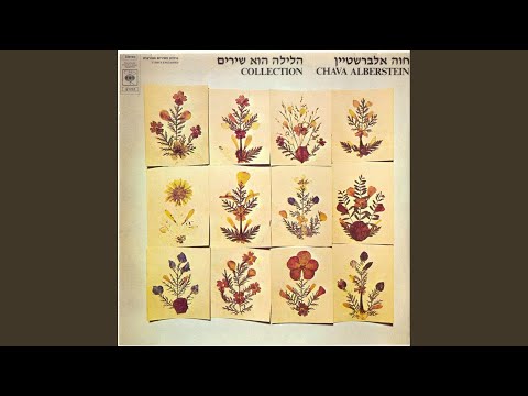 Video thumbnail for Achrey Shloshim Shana - אחרי שלושים שנה