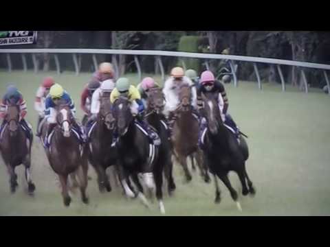 TAKARAZUKA KINEN (G1) -  ($2,923,690)  2017 - SATONO CROWIN !!!