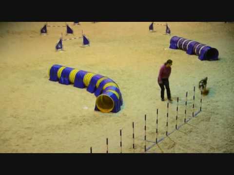 Všetice  5.11.2016 As you Like Graceful Avalanche, Ice Wow Alkyra