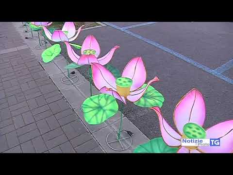 2019-02-13 PRATO - CAPODANNO CINESE, TUTTO PRONTO PER I FESTEGGIAMENTI