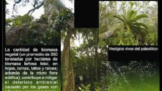 preview picture of video 'La gran aula en la Reserva Ecolpogica Santa Gertrudis'