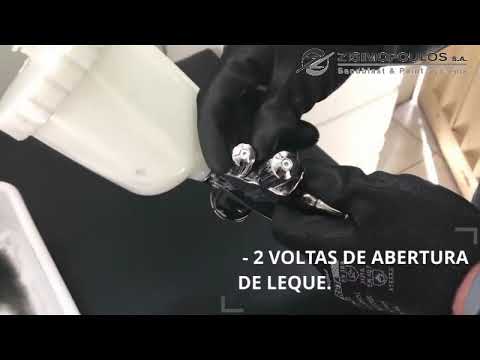 Anest Iwata WS-400 Evoclear