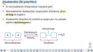 Eğitim Vadisi 9.Sınıf Biyoloji 3.Föy Canlıların Yapısında Bulunan Temel Bileşikler Konu Anlatım Videoları