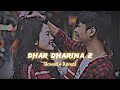 Dhar Dharina 2 ( Slowed + Reverd ) Sayera Reza || Song || Use Headphone 🎧