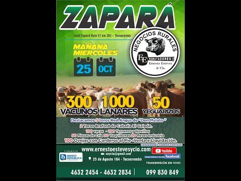 Remate Ernesto Esteves y Cia - Local Zapará Tacuarembó, 25 de Octubre 2023