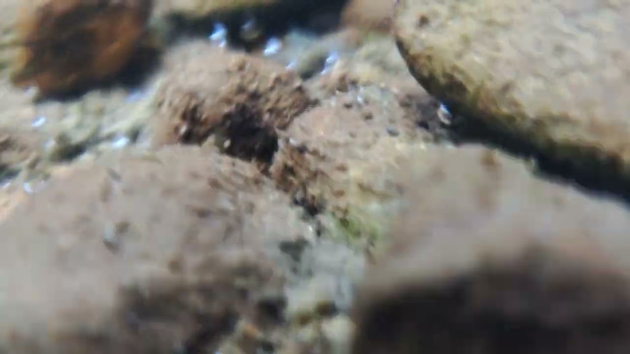 [No.153]小川のせせらぎ、ざぶんるる