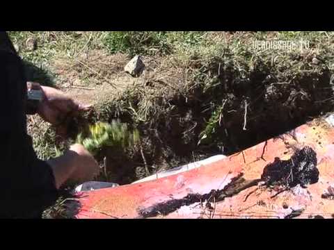 Christina Oiticica: Burying of Art / Performance