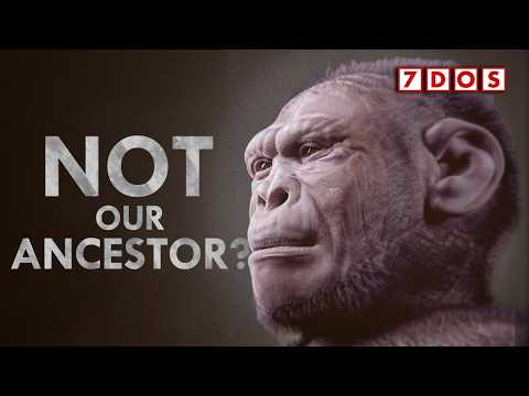 This Discovery Just Rewrote Human Evolution