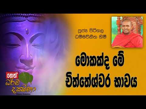 Darma Dakshina 2019.11.06 - Pitigala Dammawinitha Himi