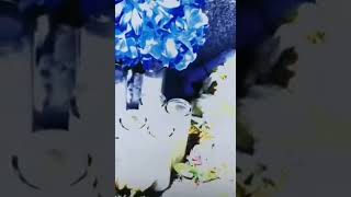 xxxtentacion fans world❌❌❌🩹 after death 💔#xxxtentacion