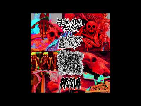 GENOCIDAL TERROR / GRINDER BUENO / BUFFET FROID / ASSUR - Split CD (2018)