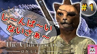 ❶【TESO】MMO魔法使いはじめました！【エルダー・スクロールズ・オンライン】