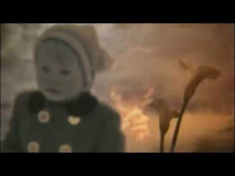 Fred Frith and Hardy Fox  - Song of the Crow