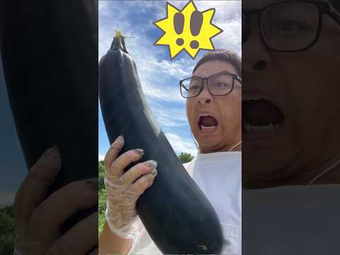 自社生産のミミズ堆肥 トピックス